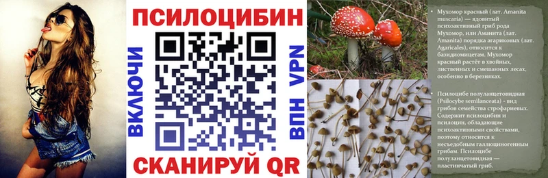 Псилоцибиновые грибы мицелий Неман